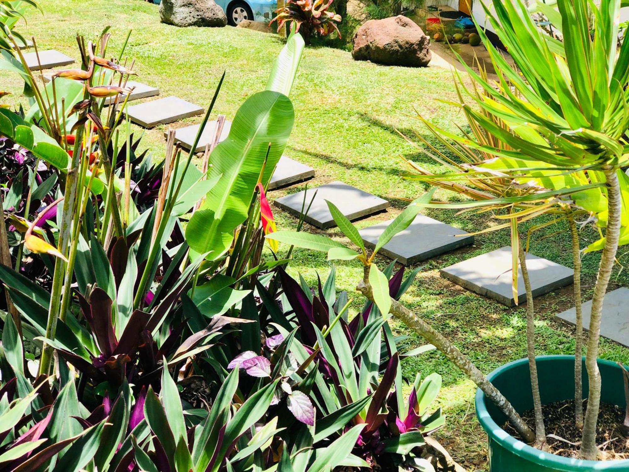 Muri Vista Villas Rarotonga Esterno foto